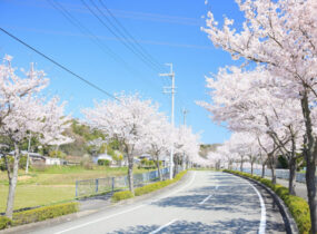 猪名川町